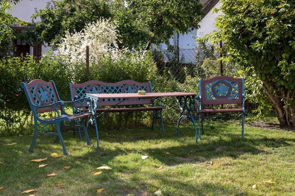Leuchtturmblick - Ferienwohnung Fuer Die Familie In Grieben Insel Hiddensee Exterior foto