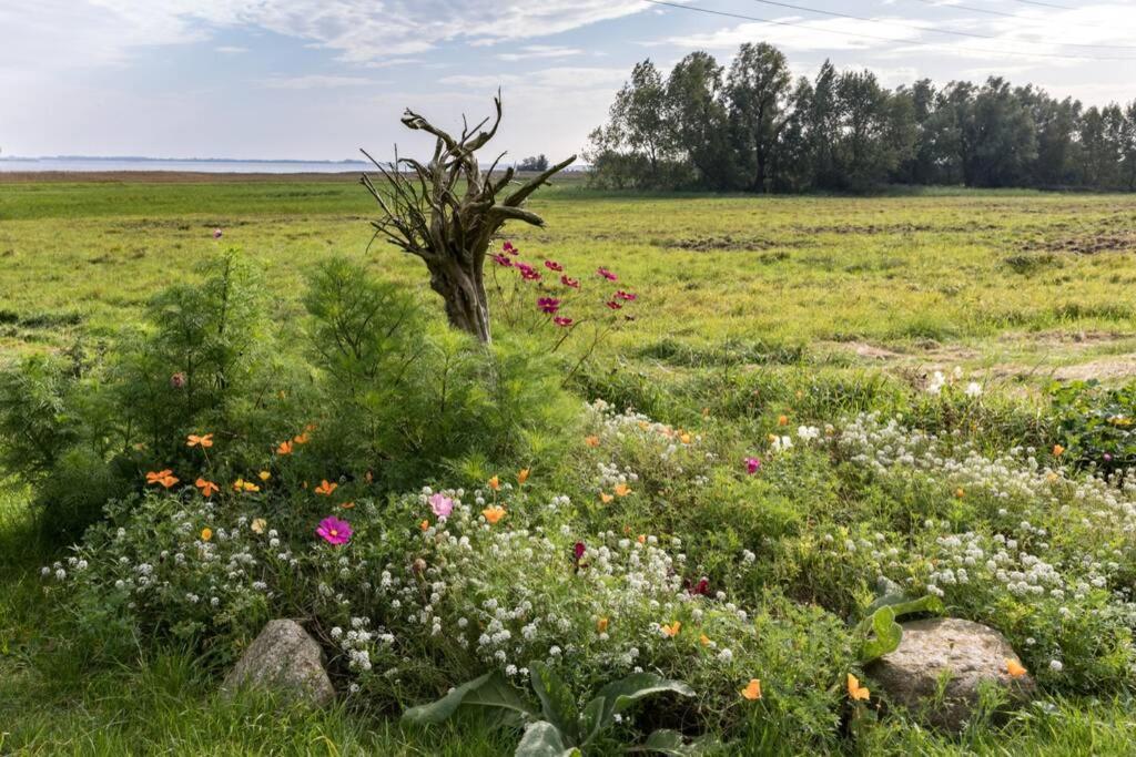 Leuchtturmblick - Ferienwohnung Fuer Die Familie In Grieben Insel Hiddensee Exterior foto